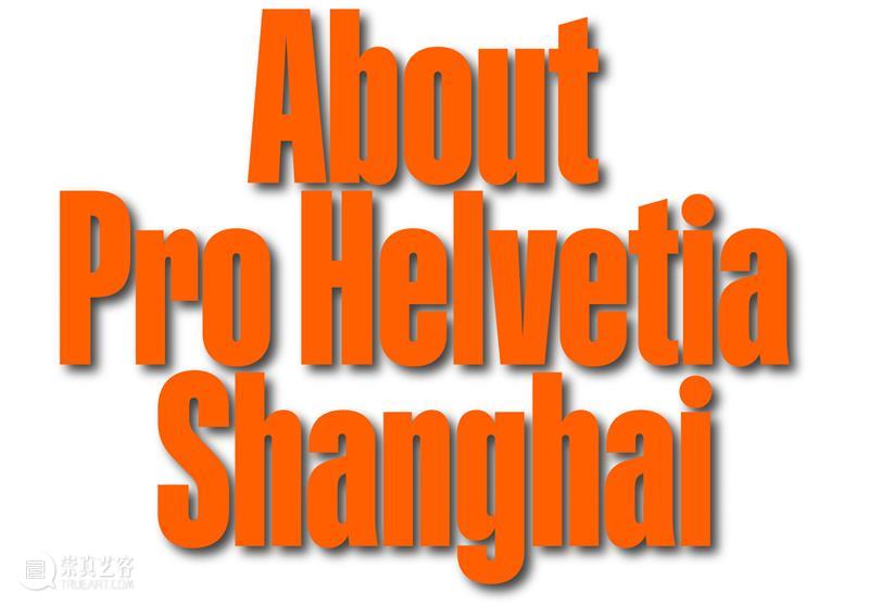 研究型考察项目 | 如何通过一次线上考察为未来赋能? 博文精选 瑞士文化基金会 崇真艺客